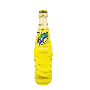 Tropical Salvador Crema Soda 12oz Vidrio x 24