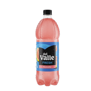 Del Valle Jugo Guayava 500 ml. x 12